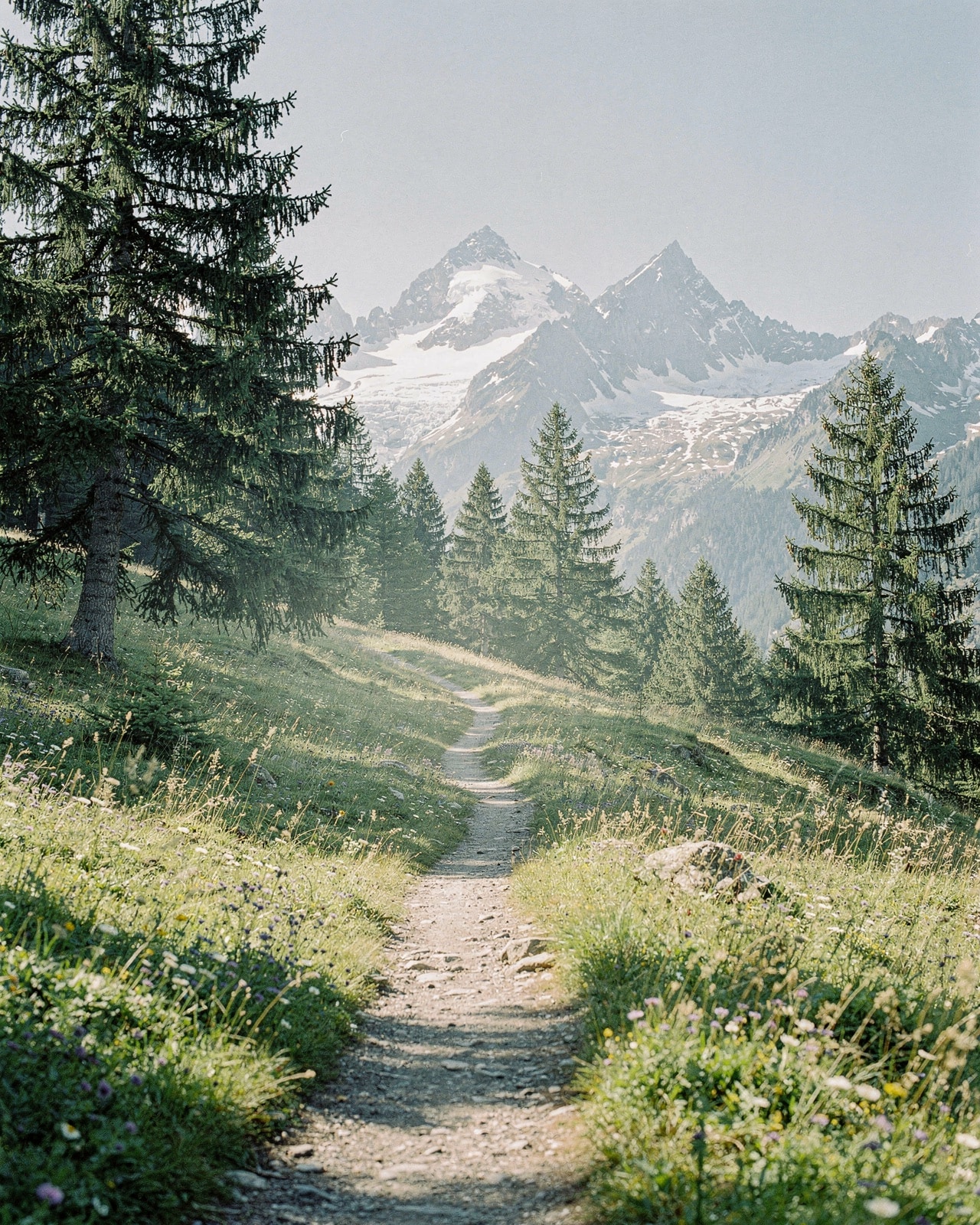 Empty alpine trail winding up through a green meadow toward distant snow-capped peaks at clear bright morning